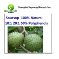 Graviola Soursop Extract Soursop 10:1 20:1 50% Polyphenols